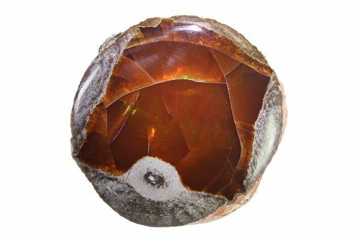 Polished Ethiopian Chocolate Opal Nodule - Yita Ridge #316149